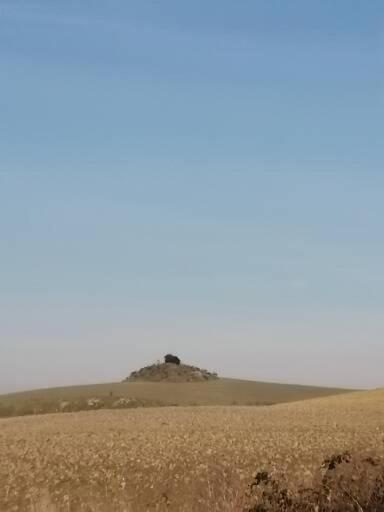 La Casa Di Amy Διαμέρισμα Taverne d'Arbia Εξωτερικό φωτογραφία